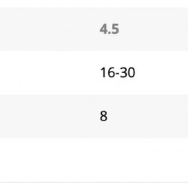 STARBOARD FREEWING GO V2