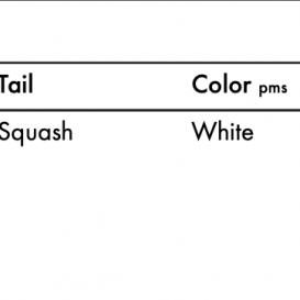 KT SURFING YARDSTICK