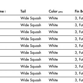 KT SURFING PLATE LUNCH 4
